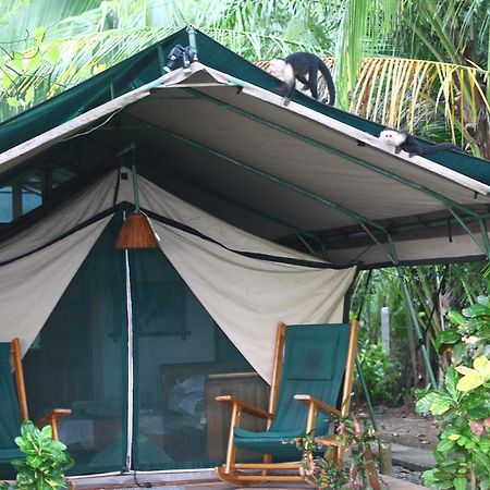 Rafiki Beach Camp Matapalo  Ngoại thất bức ảnh