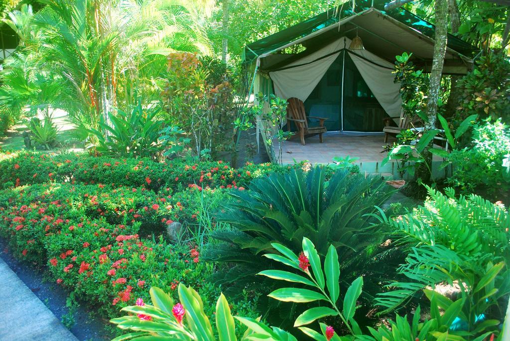 Rafiki Beach Camp Matapalo  Phòng bức ảnh