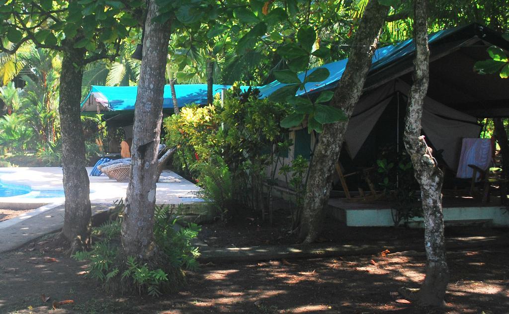 Rafiki Beach Camp Matapalo  Phòng bức ảnh