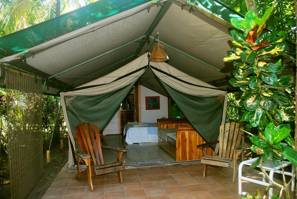 Rafiki Beach Camp Matapalo  Phòng bức ảnh