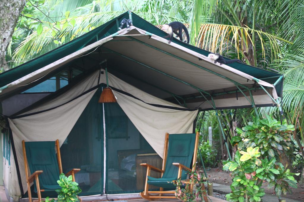 Rafiki Beach Camp Matapalo  Ngoại thất bức ảnh