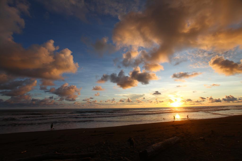 Rafiki Beach Camp Matapalo  Ngoại thất bức ảnh