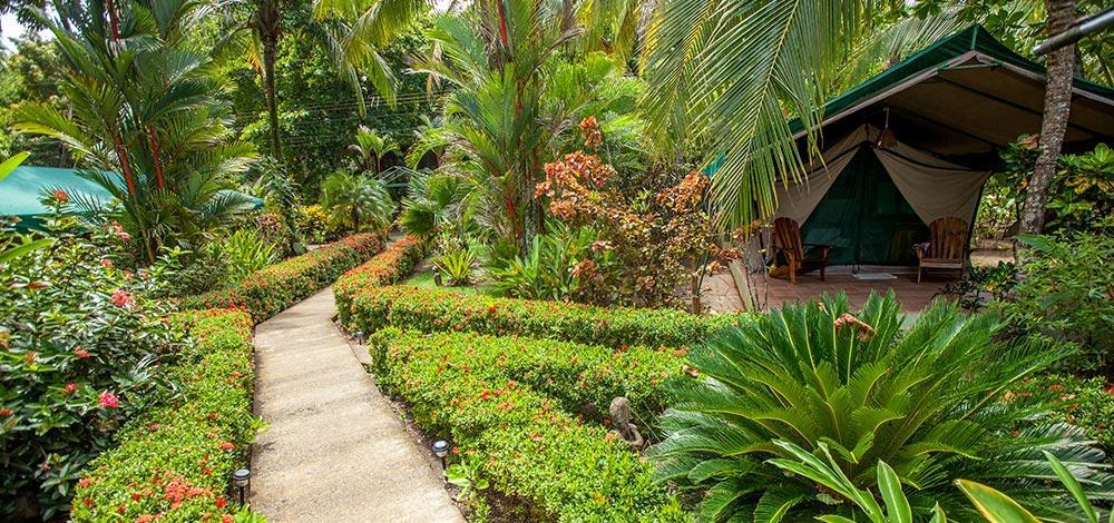 Rafiki Beach Camp Matapalo  Ngoại thất bức ảnh